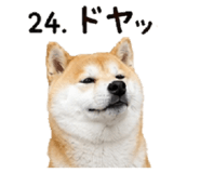 841378727
