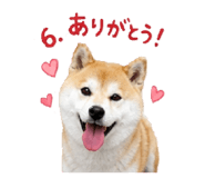 841378728