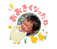 841379367