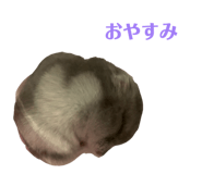 841379540