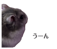 841379542