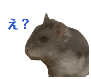 841379544