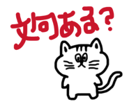841379972