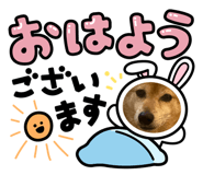 841379993