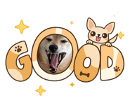 841379998