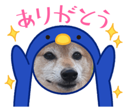 841380008