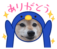 841380008