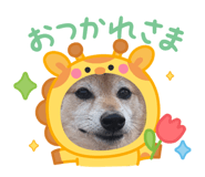 841380015