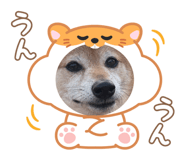841380017