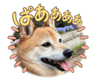 841380019
