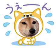 841380022