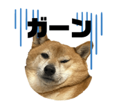 841380024