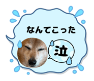 841380025