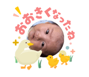 841380040