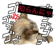841380178
