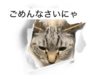 841380184