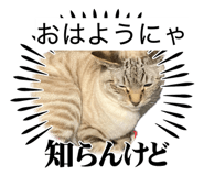 841380186
