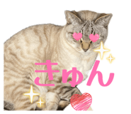 841380189