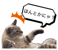 841380190