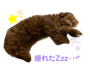 841380222