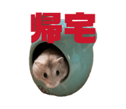 841380683