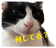 841380713