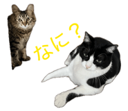 841380718