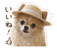 841380820