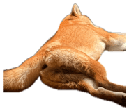 841380899