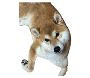 841380902