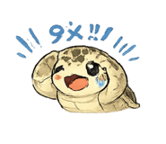 841381016