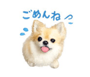 841381172