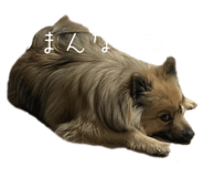 841381552