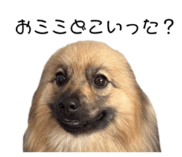 841381556