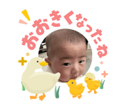 841381630
