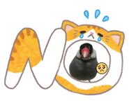 841381890
