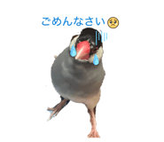 841381895