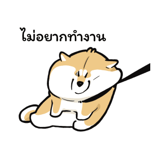 ลายที่ 5