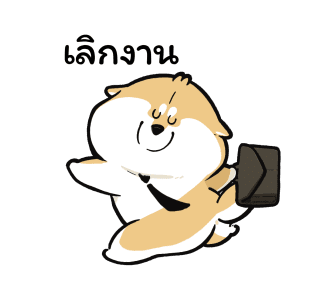 ลายที่ 11