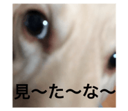 84138724