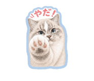 841388078