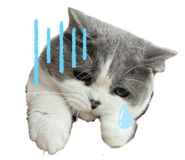 841388683