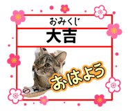 841388817