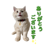 841388977