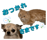 841388983