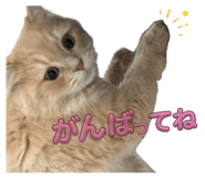 841388986