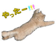 841388990