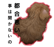 841389700