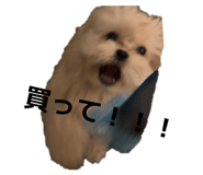 841389701