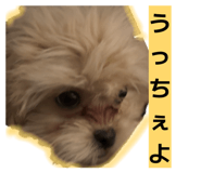 841389704